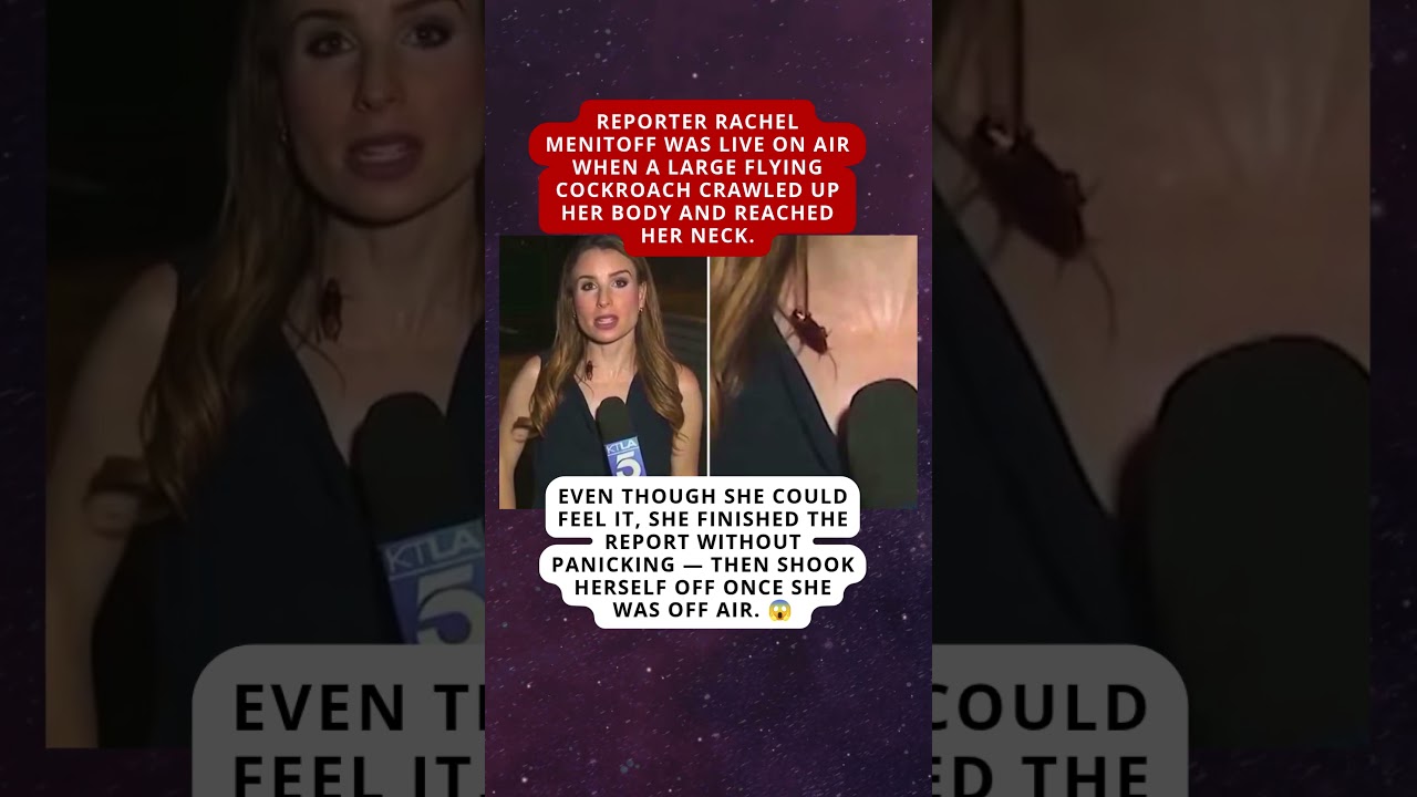 AMAZING PROFESSIONALISM: Cockroach climbs on live reporter and she keeps working