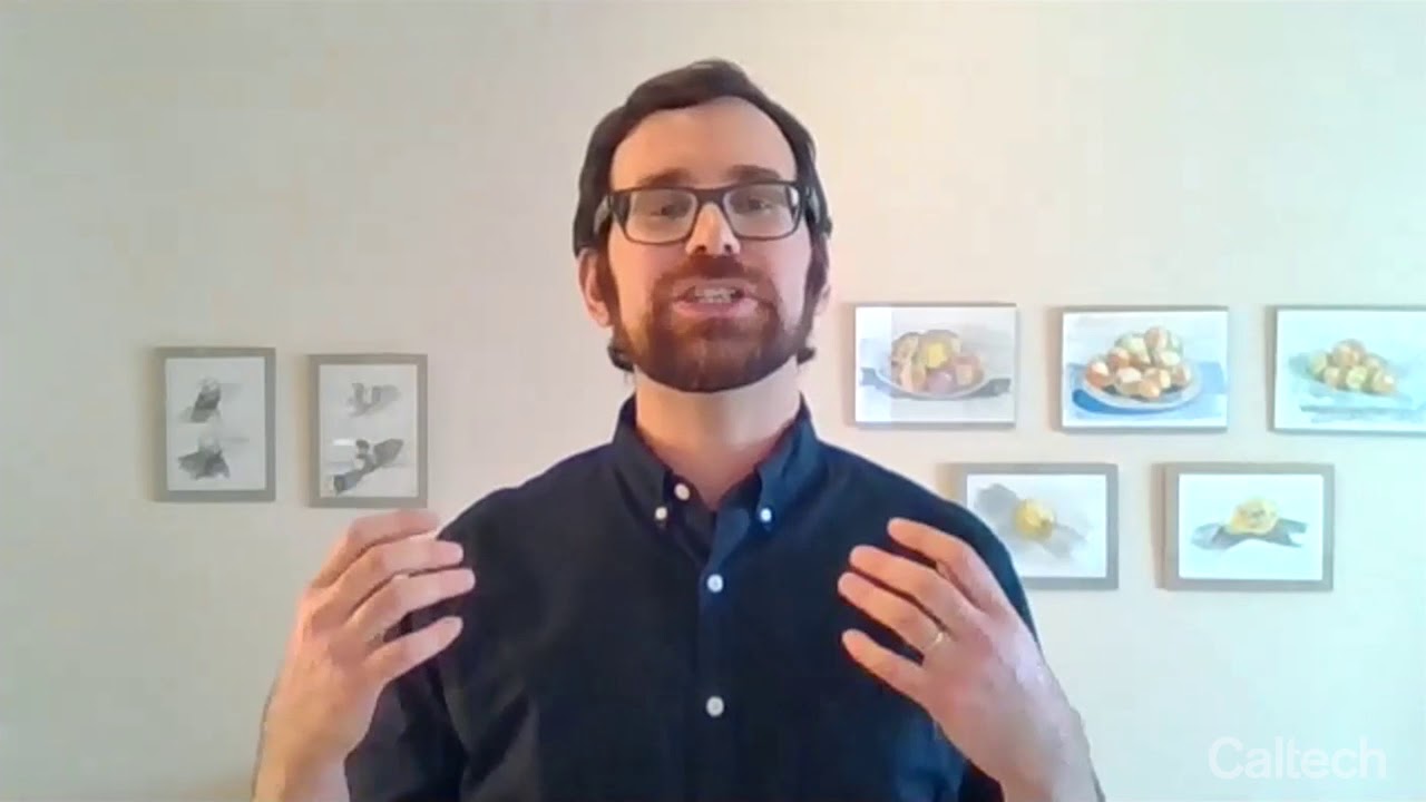 Stories of Science: These Cells Will Self-Destruct in Seven Minutes - A. Bar-Zion - 6/10/20