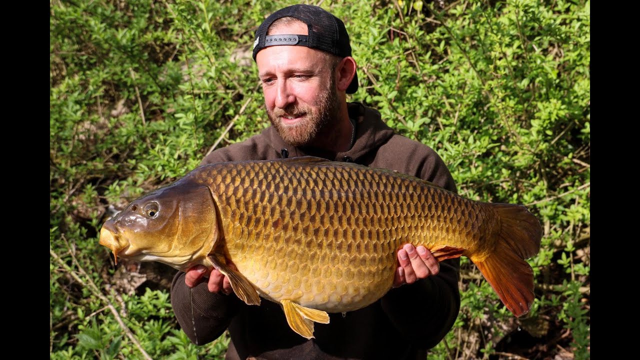 Mark Pitchers - Carp Life May 2019
