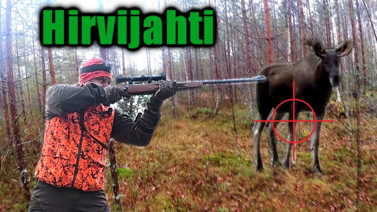 Hirvenmetsästys 2025 | Toinen jahtiviikonloppu