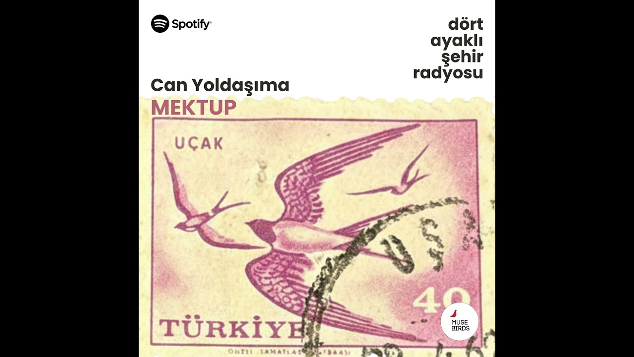Can Yoldaşıma Mektup | Mine'sinden Kurt'a