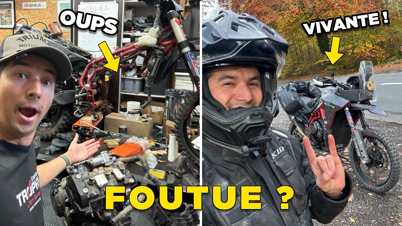 I thought she would NEVER live again... the CRAZY story of my Tiger 900 Valkyrie's engine!