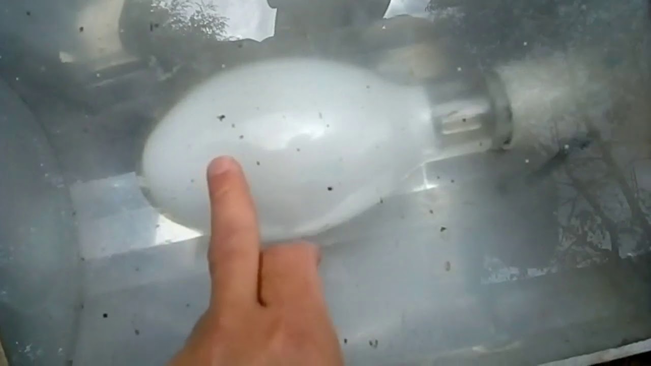 Utilizar a lâmpada a vapor mercúrio em um Reator vapor metálico