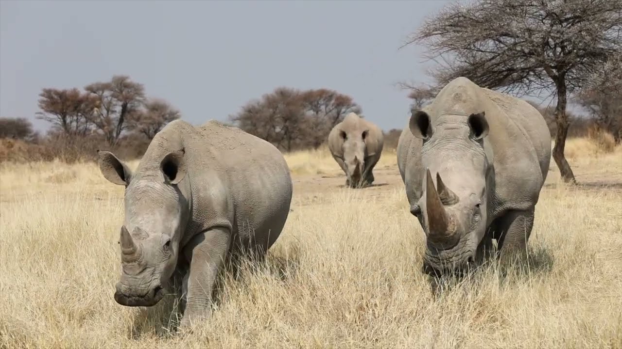 Namibia - A beautiful road trip