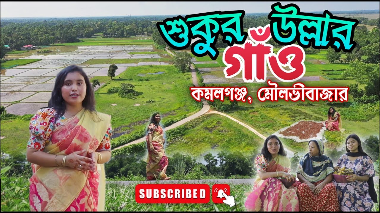 Amazing Village Sukurullah Gram in Kamalganj | মৌলভীবাজার, শুকুরুল্লাহ গ্রামের মো