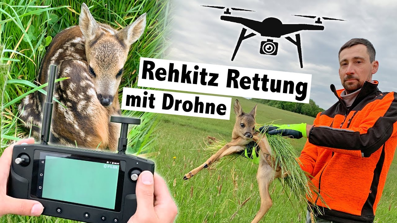 Rehkitzrettung mit Drohne und Wärmebildkamera | Pro Kitz e.V.