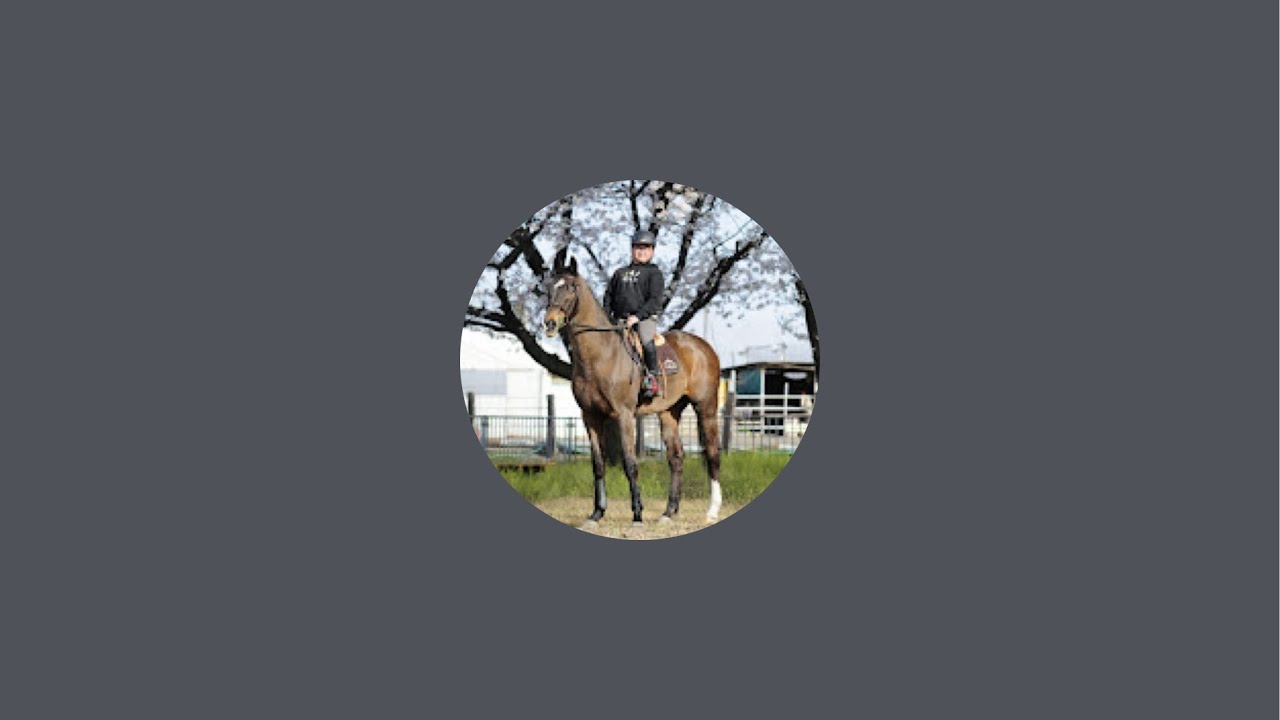 新たな馬の担当になった感想を