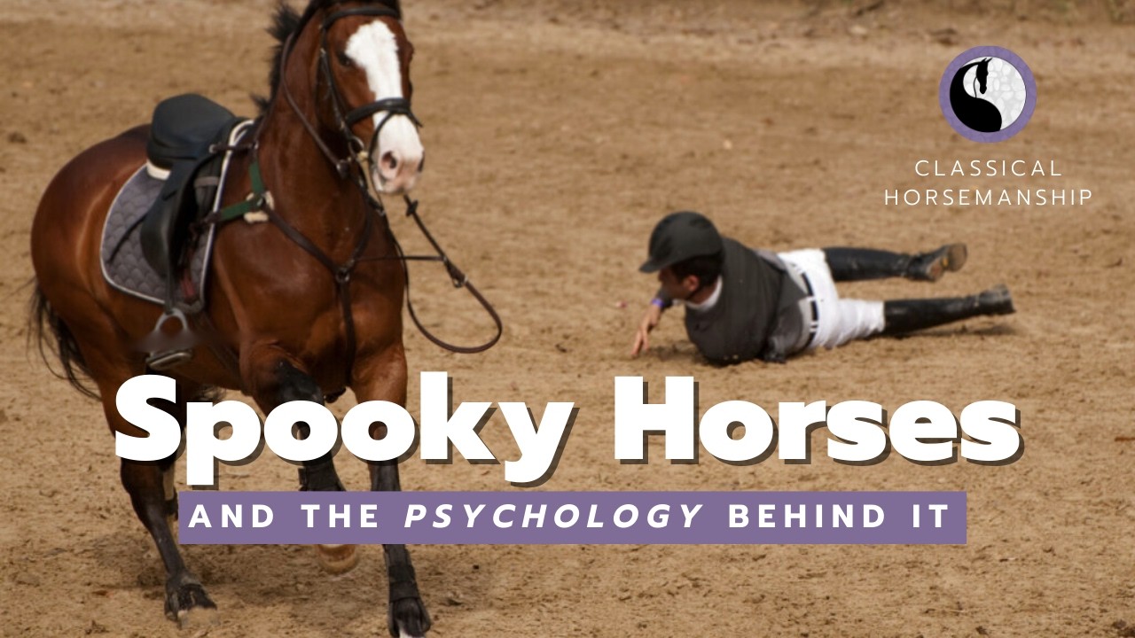 What’s Actually Happening in Your Horse’s Brain When They Spook