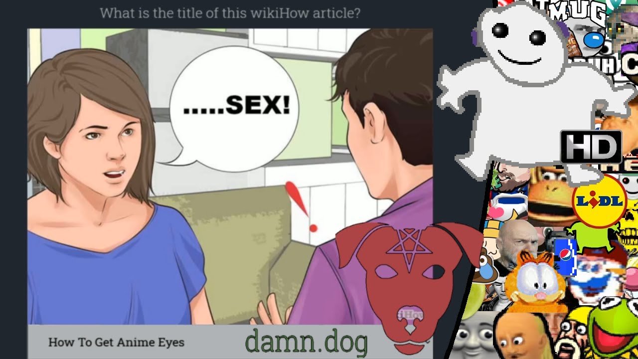 [Vinesauce] Joel [Chat Replay] - Damn Dog (WikiHow Guessing Game)