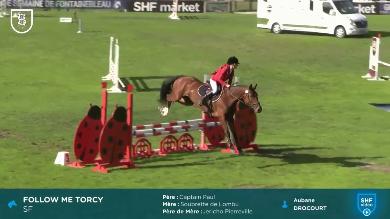 Fontainebleau 2019 - Parcours - FOLLOW ME TORCY - CL1 4 ans