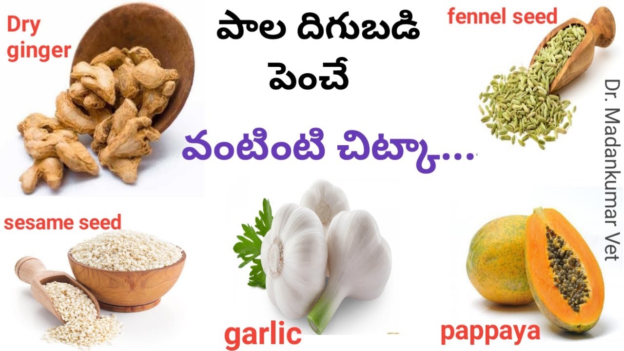 Home Made Tip to Increase Milk Production in Buffaloes and Cows Telugu | Dr. Madankumar Vet