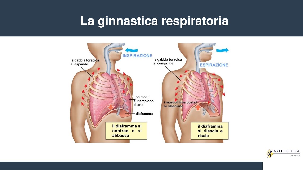 Fisioterapia respiratoria - esercizi da fare post polmonite/bpco/covid-19