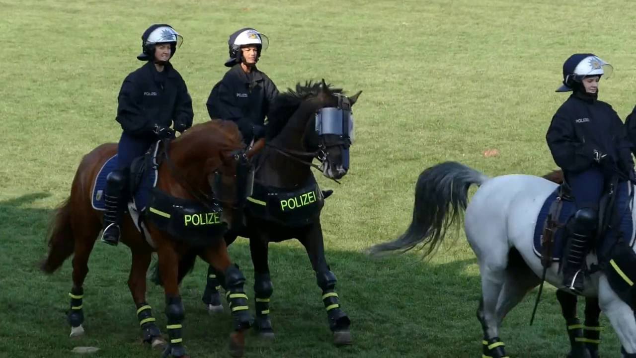 Reiterstaffel Bundespolizei Berlin auf Hengstparade Neustadt/Dosse 2016