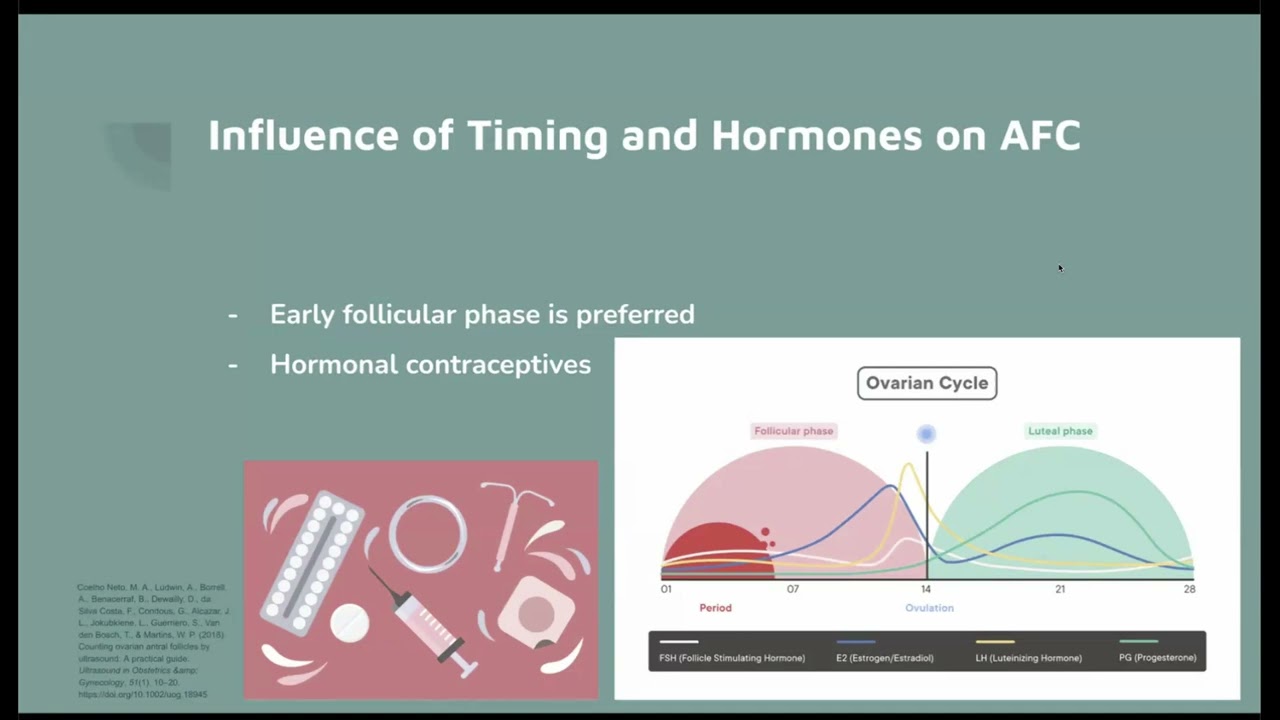 Counting Ovarian Antral Follicles with Ultrasound