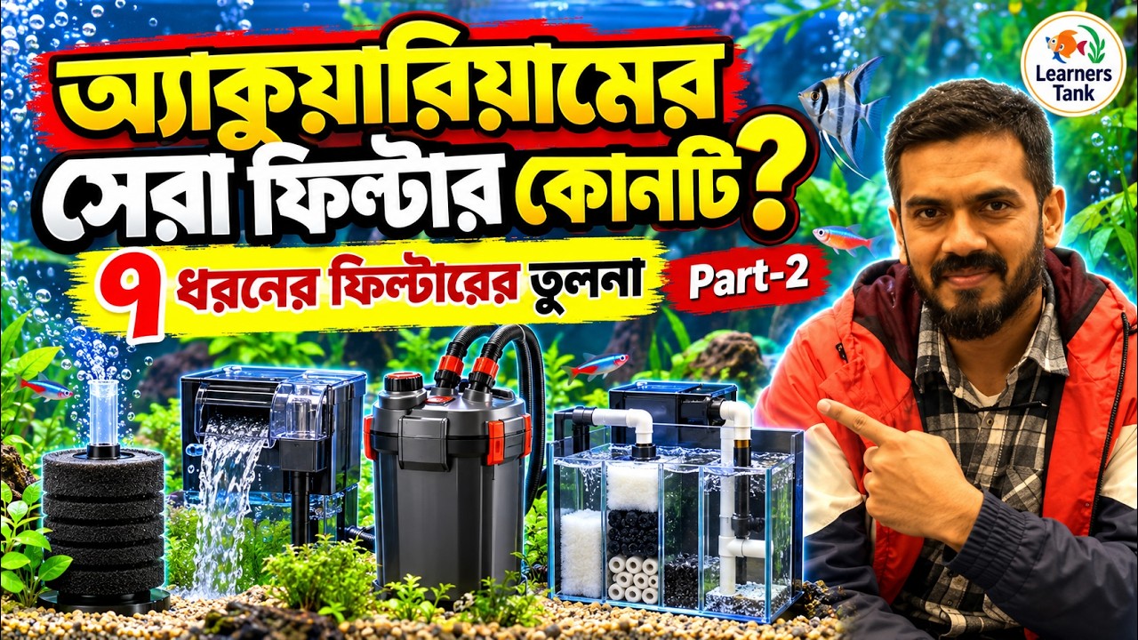 Aquarium Filter System: Part-2 (ফিল্টারের প্রকারভেদ // সবচেয়ে ভালো ফিল্টার কোনটি?)