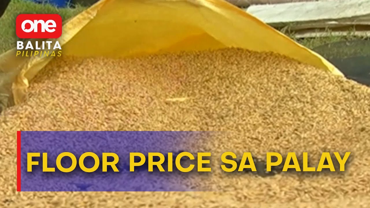 Pagtatakda ng floor price sa palay, pinag-aaralan ng DA | One Balita Pilipinas