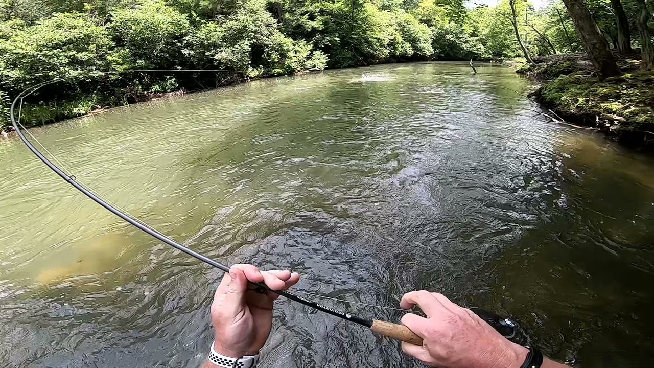 Fightingtown Creek (Deana's Personal Best Rainbow)
