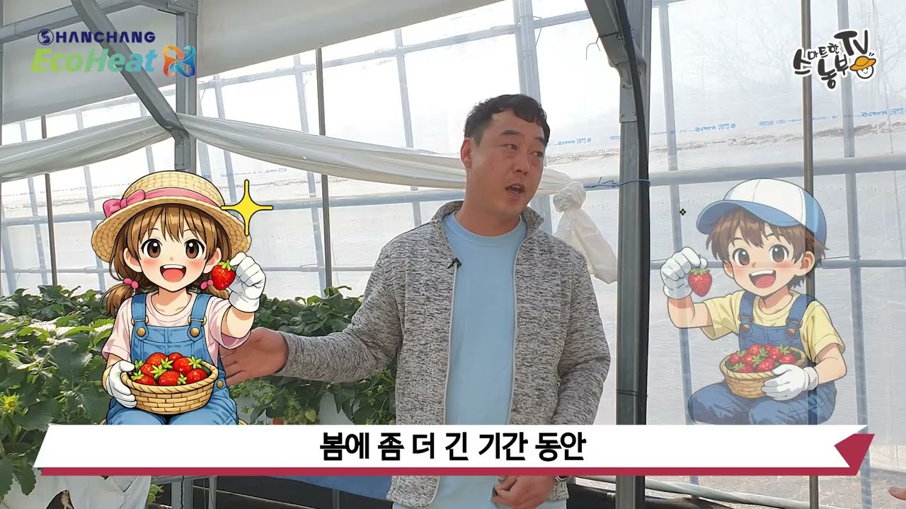 260309 밀양 박정훈 딸기농가