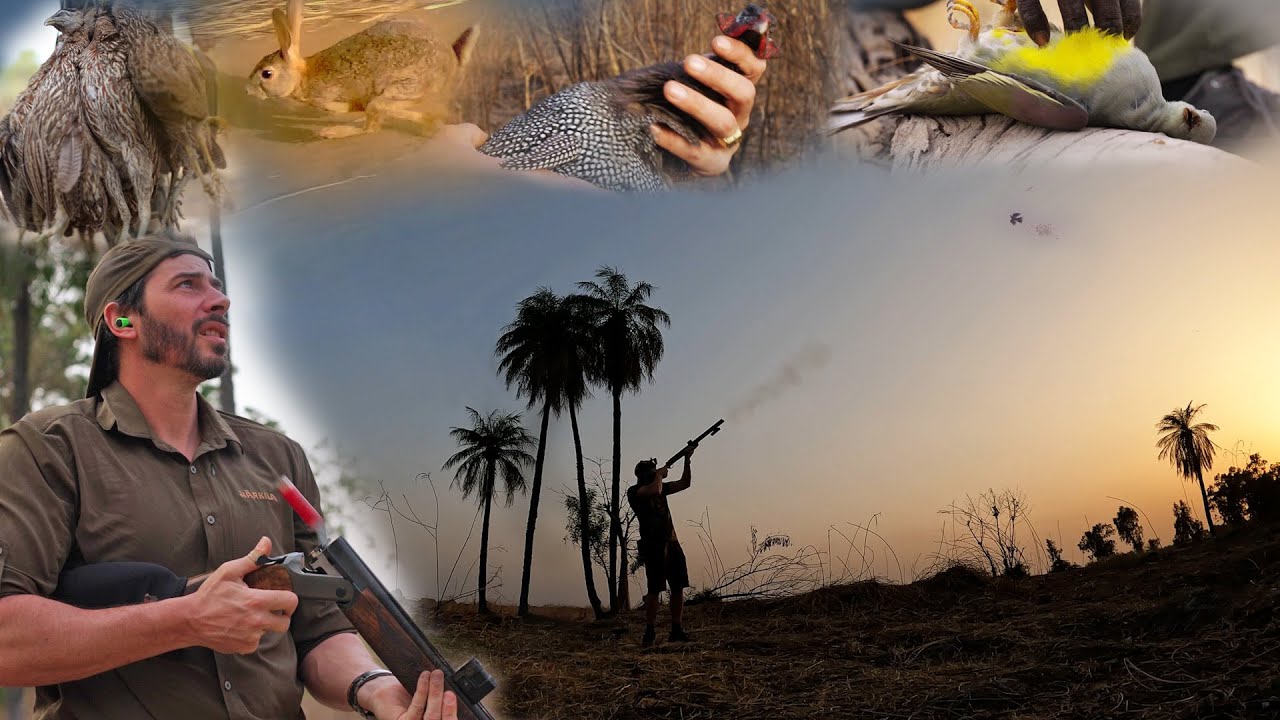Rêves De Chasse n°4  : Chasse au Sénégal: francolins, lièvres, pintades et tourterelles à Kabacoto