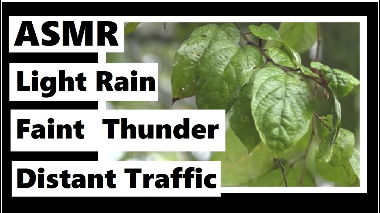 One Hour of Light Rain, Faint Thunder, Distant Traffic - Sounds and Whispers ASMR