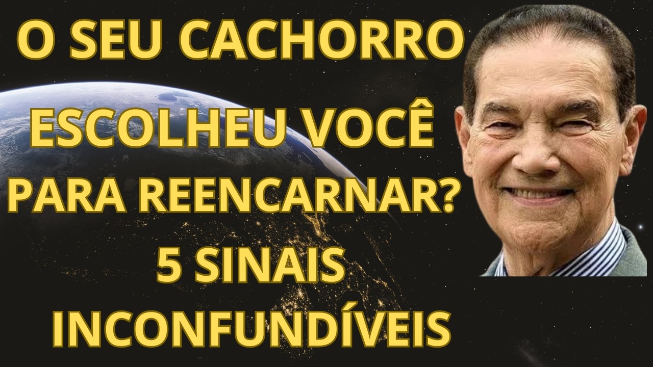 Seu CACHORRO ESCOLHEU Sua Família Para REENCARNAR? DESCUBRA os 5 SINAIS | DIVALDO FRANCO