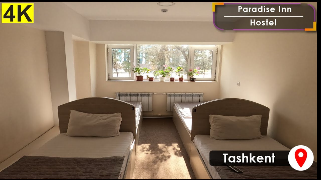 Paradise Inn Hostel🏩🍀👍Tashkent, Uzbekistan