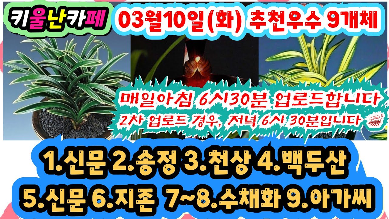 03/10(화) 추천우수 9개체 [1.신문 2.송정 3.천상 4.백두산 5.신문 6.지존 7~8.무명수채화 9.아가씨]