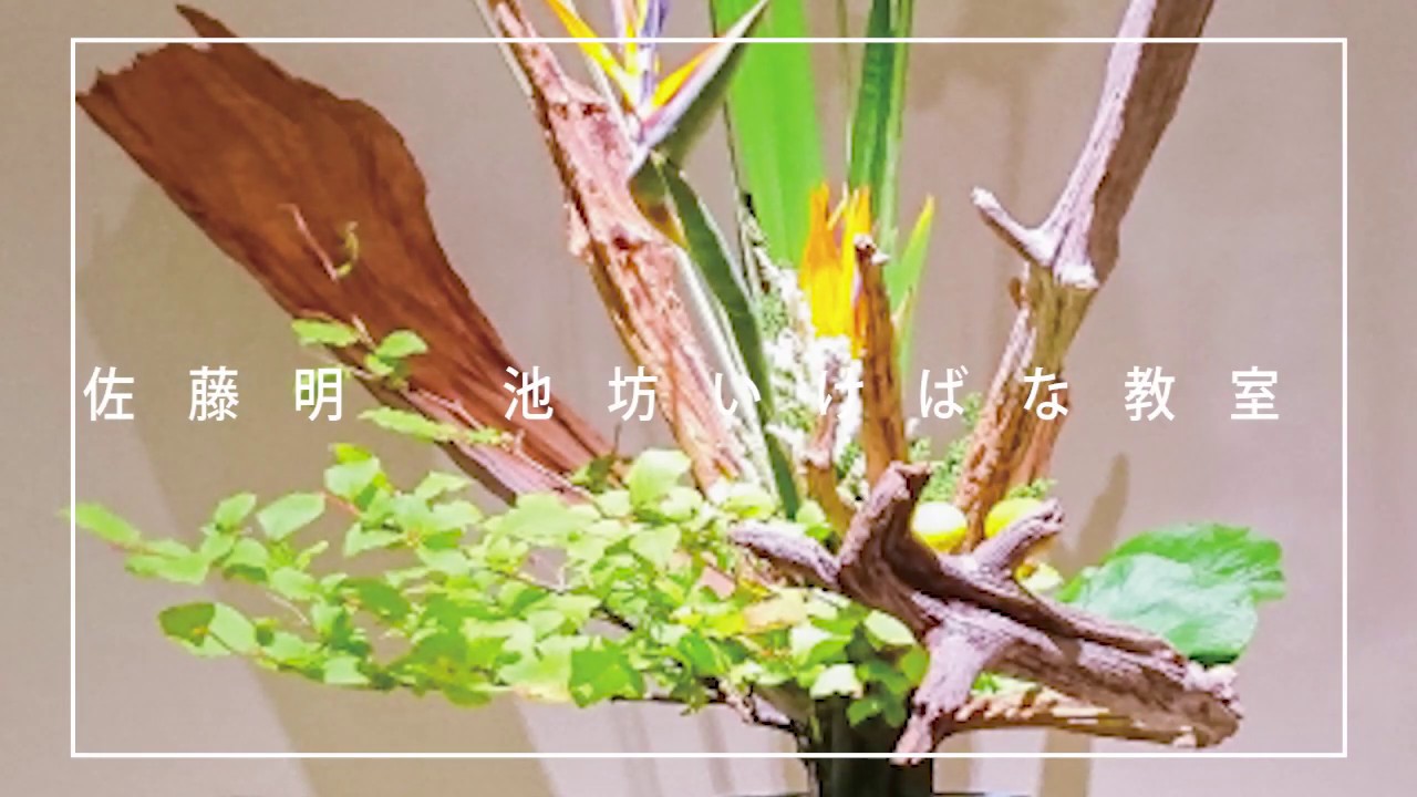 【生け花】池坊華道教室の先生が作品を生けながら疑問に答えました