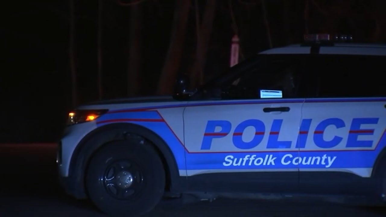 New details emerge after human remains found near school