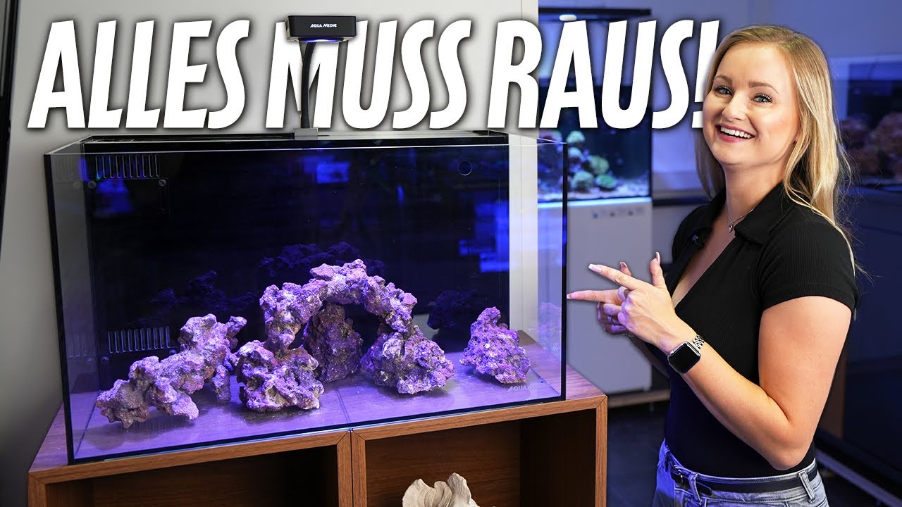 Wir verkaufen unsere Schauaquarien! - PlanktonPlus Aquaristik