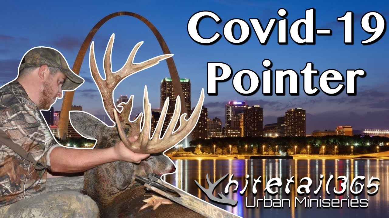 City Hunting. Urban Miniseries. Giant St. Louis 19 Pointer!