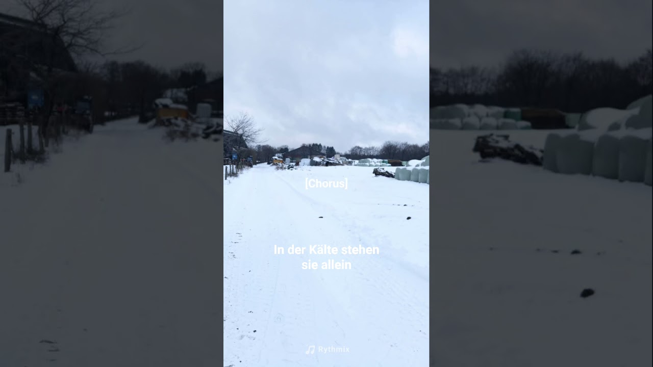 In der Kälte stehen sie alleine.