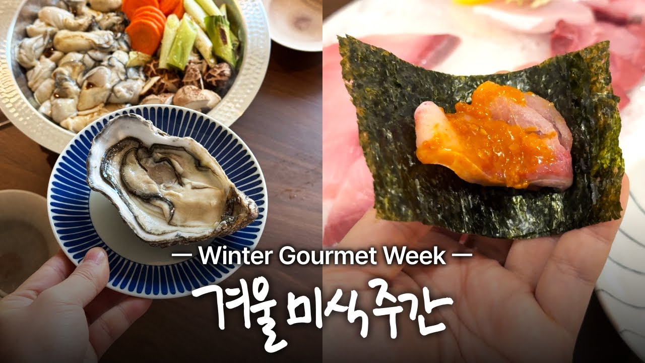 Vlog | 겨울 미식 주간 / 고소한 두유 참깨 나베와 녹진한 굴 나베 / 올해 첫 대방어 개시!