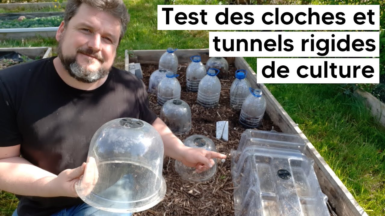 Je teste des CLOCHES et un TUNNEL RIGIDE de culture