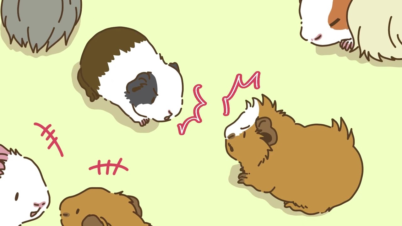 ふれモル！-Furemoru! Guineapig Daily Life- 予告PV