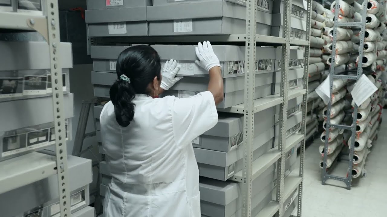 El corazón del museo: un recorrido por la el cuarto de la colección por Violeta Gutiérrez