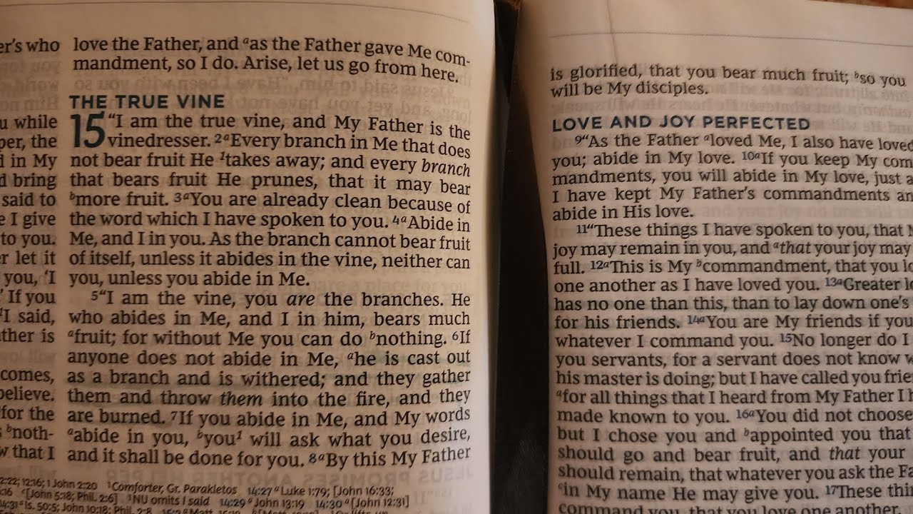 Gospel According to John 15: 1-17  Pray, Read, Discuss!