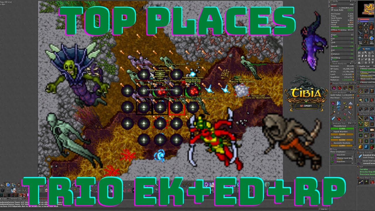 TOP 5 spots for trio hunt EK+ED+RP higher lvl in one video (Tibia 2021)