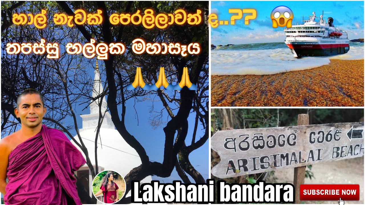 හාල් නැවක් පෙරලිලාද 😱 අරිසිමලේ 🌊 තපස්සු භල්ලුක මහාසෑය 🙏 #travel #trincomale #srilanka #viralvideo #