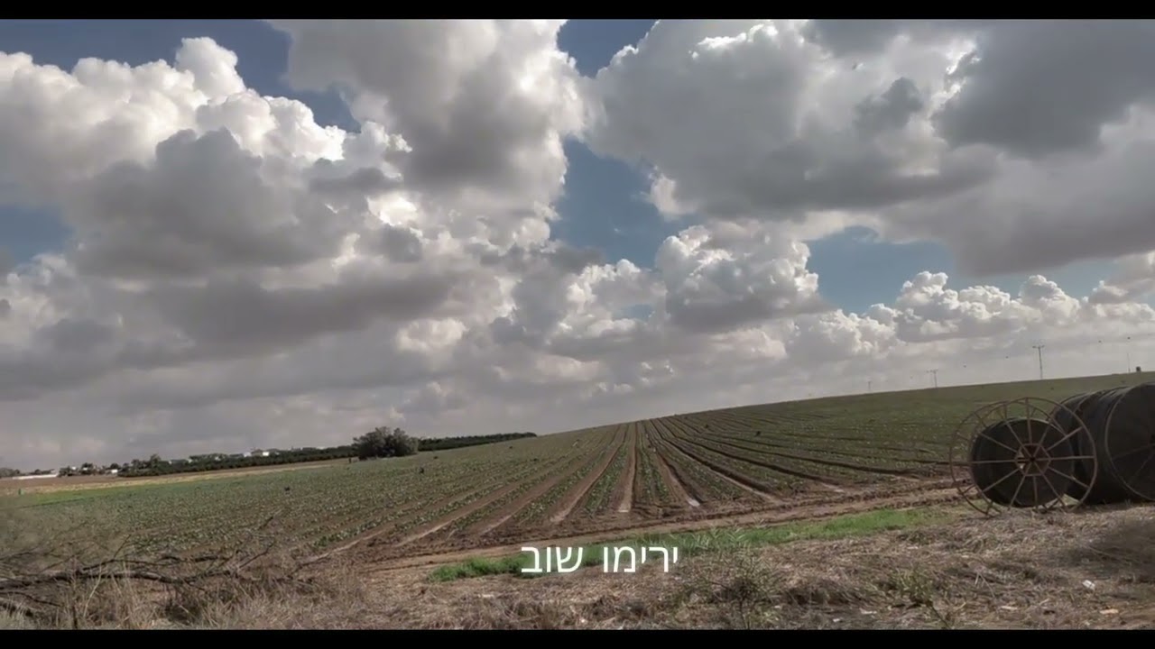 ורק בתום הסערות - יואב ברנע