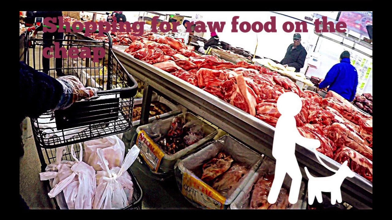 How To Shop Cheaply for Raw Dog Food And Cure All Food Allergies!!