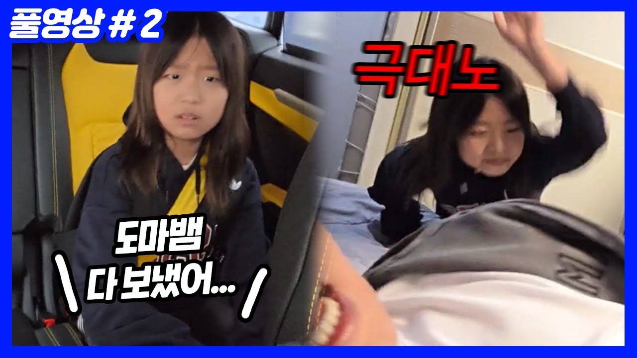 연지 반려 도마뱀들 싹 다 분양 보냈다고 몰카했더니... (25.11.27-2)