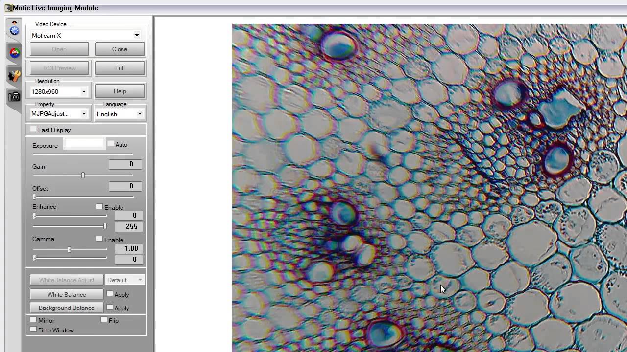 Moticam X Connected to Motic Images Plus 2.0