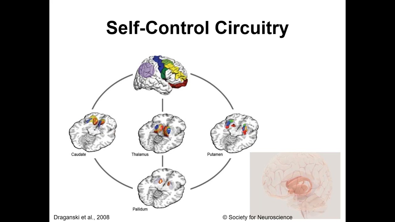 Self-Control Gone Awry: The Cognitive Neuroscience Behind Bulimia Nervosa