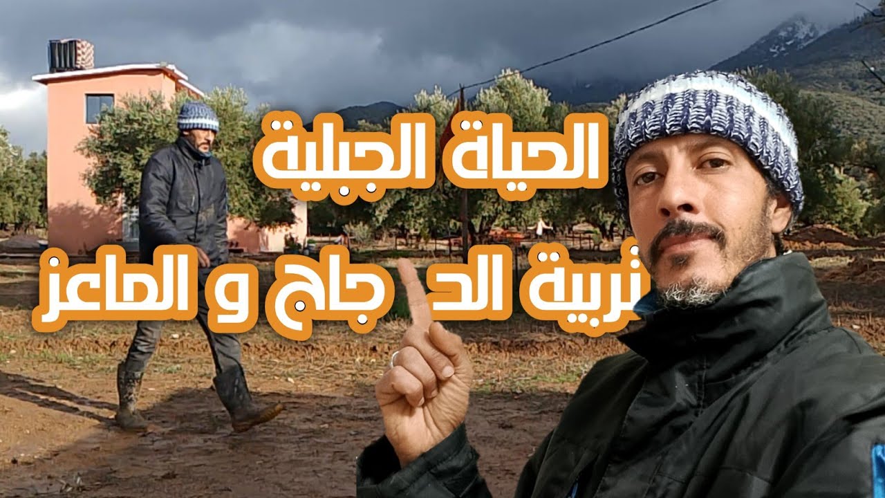 الدجاج والماعز في فصل الشتاء الجبلي القاسي