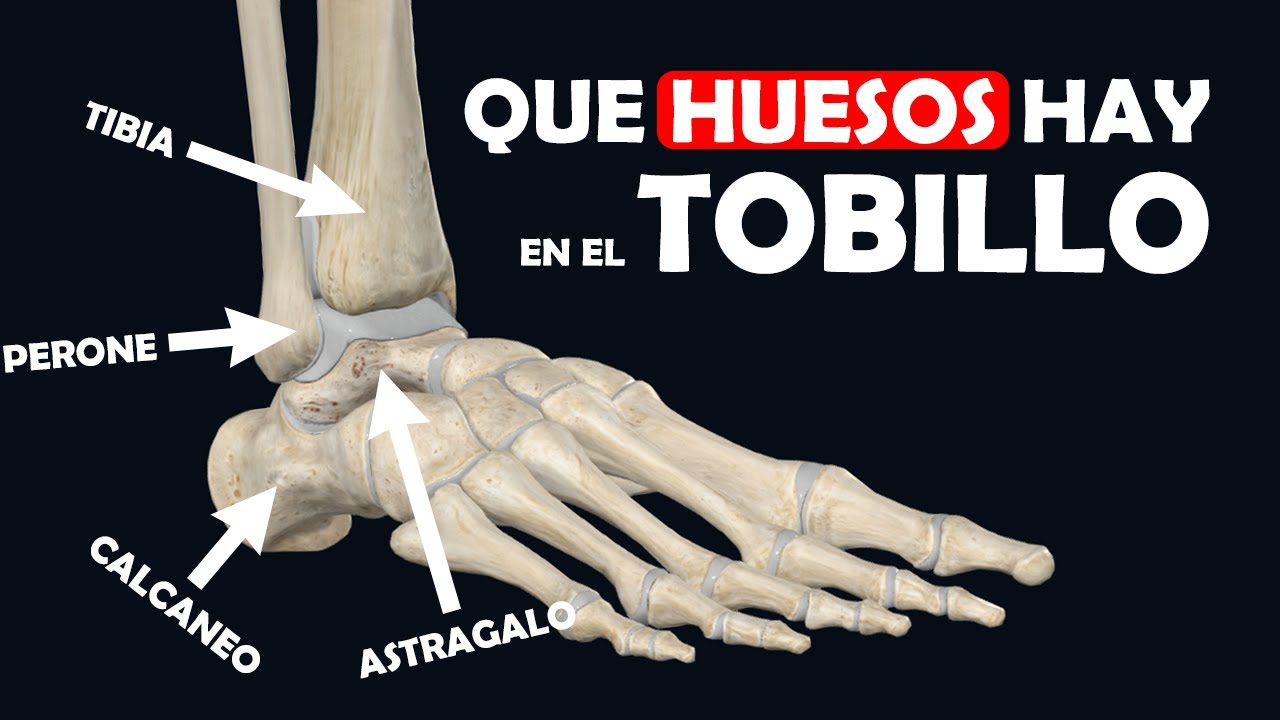 QUE ES REALMENTE EL TOBILLO: Huesos y articulaciones - Ep. 8