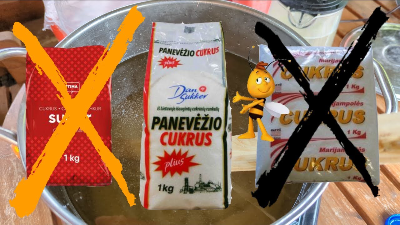 MAITINAME BITES. Gaminame cukraus sirupą. Gydome bites.