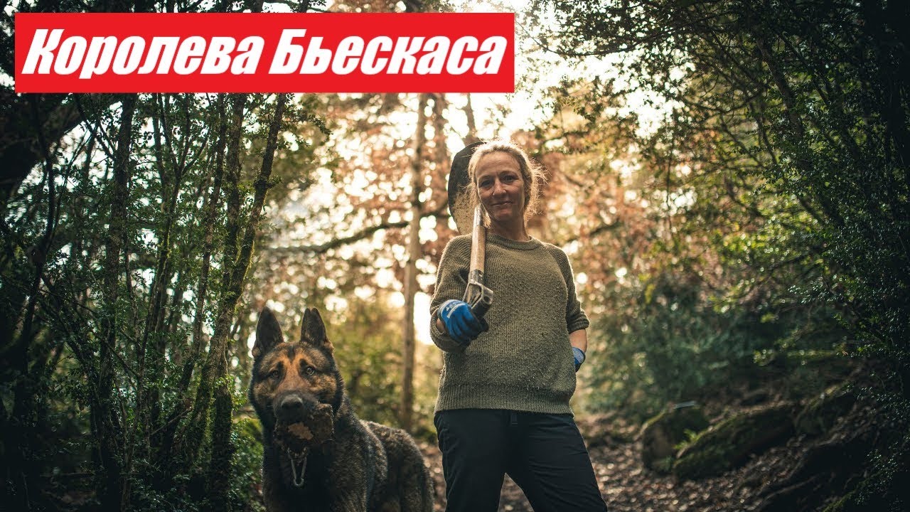 В Поисках Новых Земель: Королева Бьескаса