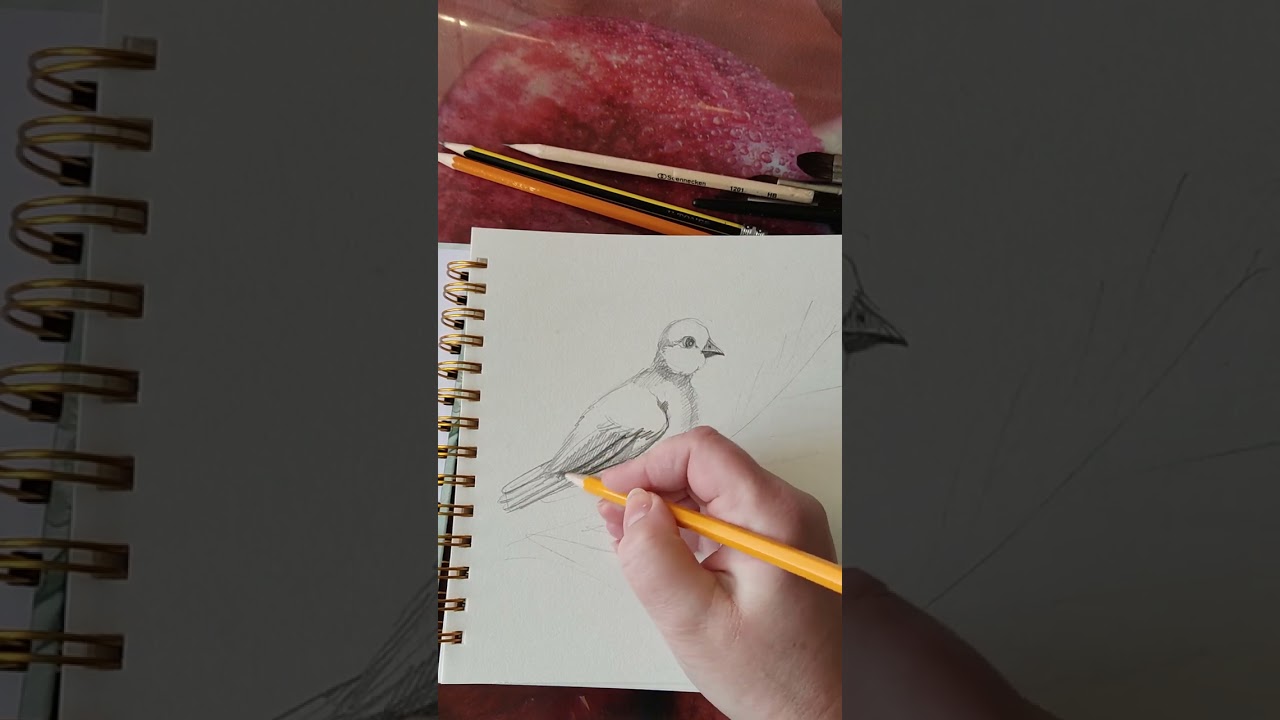 Рисунок олівцем.