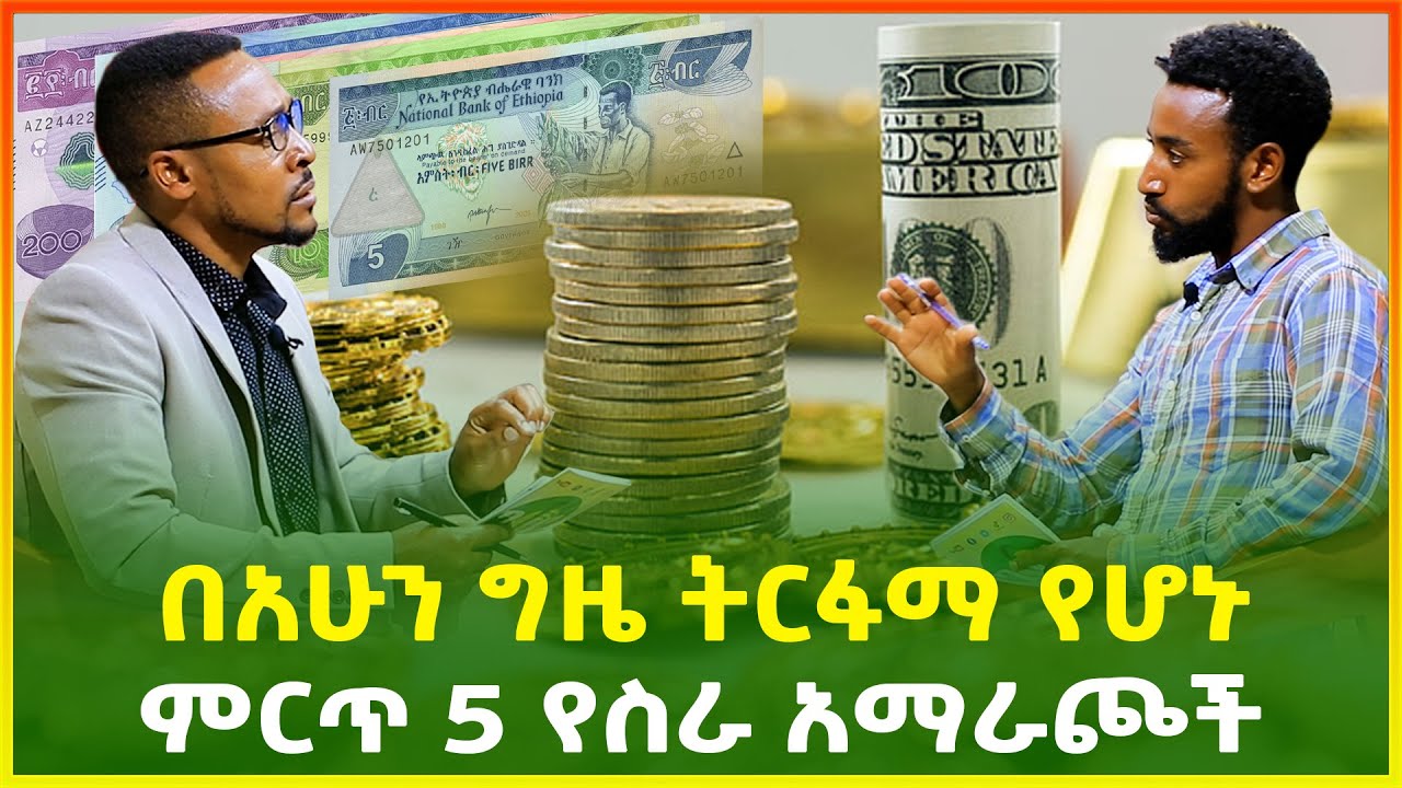 ምርጥ 5 የስራ አማራጮች፣ኢትዮጵያ ውስጥ ብሰሩ አትራፊ የሆኑ ምርጥ 5 ቢዝነሶች | Top 5 Business idea | business | Gebeya